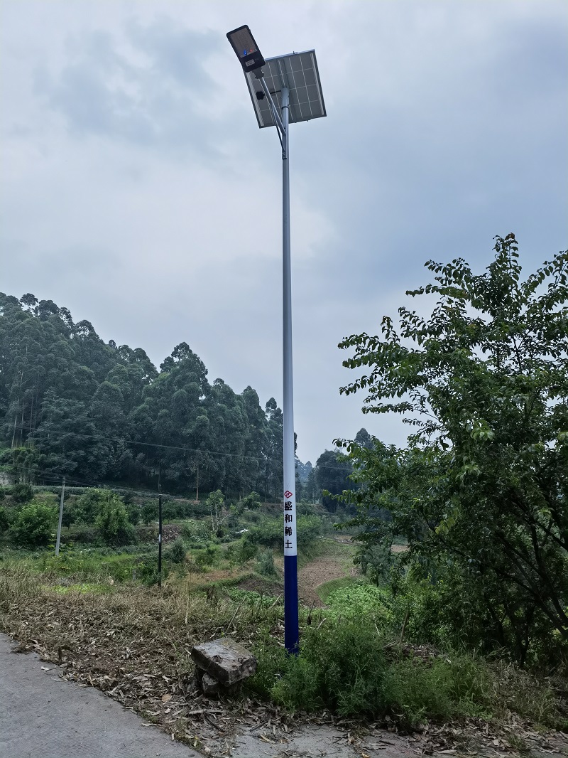 3.乐山bwin必赢点亮美丽庙儿村